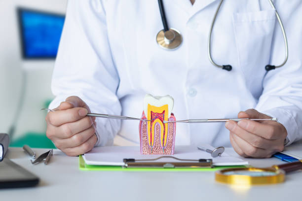 Best Broken or Cracked Tooth Emergency Dentist in West Glens Falls, NY